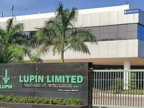 Lupin
