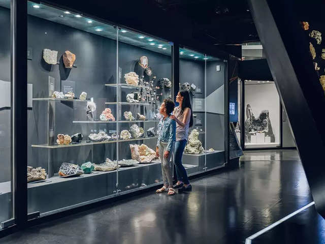 Decoding how a trip to the Melbourne Museum will be a highlight of your vacation