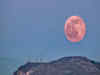 2024 Pink Moon: What to expect and why it's not actually pink?