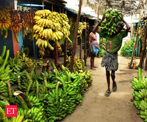 action plans for banana mangoes exports among 20 agricultural products in works