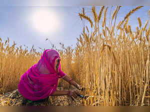 India woman farmer istock