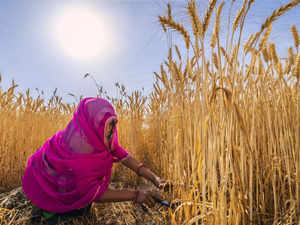 Dvara E-Registry, IRRI unveil FPOs in Odisha to empower women farmers using eco-friendly agri practices:Image