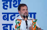 No force can stop caste census: Rahul