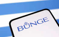 Bunge Q1 Results: Profit falls on weaker agribusiness results, shares drop