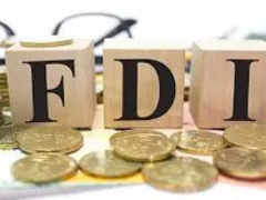 FDI Marginalization