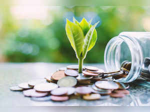 Best short duration mutual funds to invest in April 2024:Image