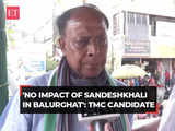 'No impact of Sandeshkhal here…': TMC’s Balurghat Candidate Biplab Mitra 1 80:Image