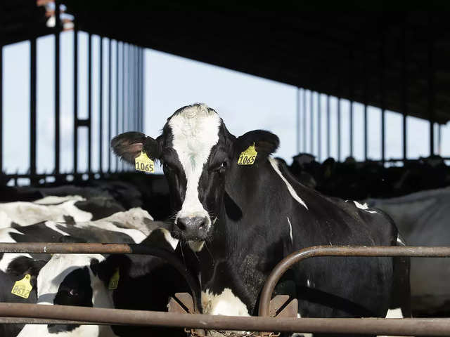 ​Detection in dairy​