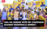 'Jail Ka Jawab Vote Se': AAP holds campaign against CM Kejriwal's arrest