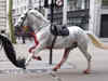 King's horses wreak havoc on London streets: Chaos captured in pics