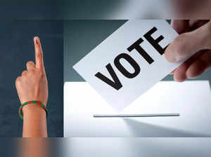 Bengaluru voters to get free dosa, beer and taxi ride: Here are all the free offers on voting day:Image