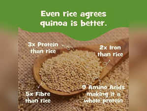 Best Quinoa Seeds in India - 2024
