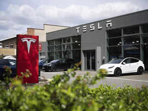 View: For Tesla, India can perhaps wait for now:Image