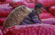 Govt allows onion export to Bangladesh, UAE,  Sri Lanka & 3 more countries amidst domestic supply worries