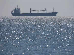Iran to free crew of seized ship:Image