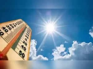 Two die in Kerala as temperatures surge to 42 degrees:Image