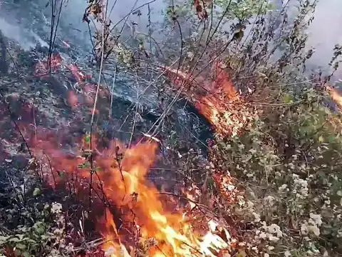 Heatwave effect