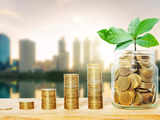 IFC investments in India to zoom to over $4 bn, focus on climate finance