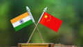 IMF flags a common link between India and China's growth sto:Image