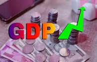 India to grow 6.8% in FY25, public investment to be the driver, says IMF