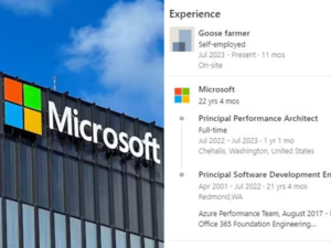 Fired Microsoft engineer takes up goose farming as new career: Check viral LinkedIn profile:Image
