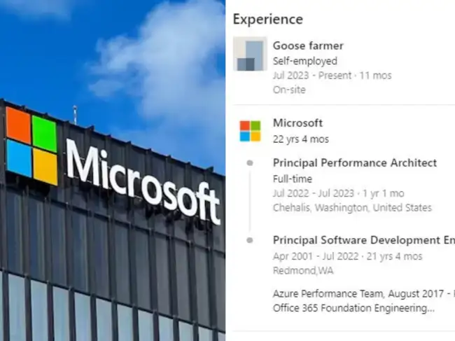 Microsoft Fired Microsoft Engineer Takes Up Goose Farming As New 