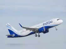 IndiGo shares climb 3% on order for wide-body aircraft; Kotak raises target price