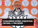 'Congress dying, Pakistan crying…': PM Modi's fiery speech in Gujarat | Lok Sabha Elections 2024