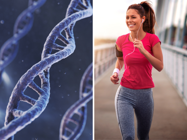 The study highlighted the importance of lifestyle habits in counteracting genetic predispositions to a shorter lifespan.