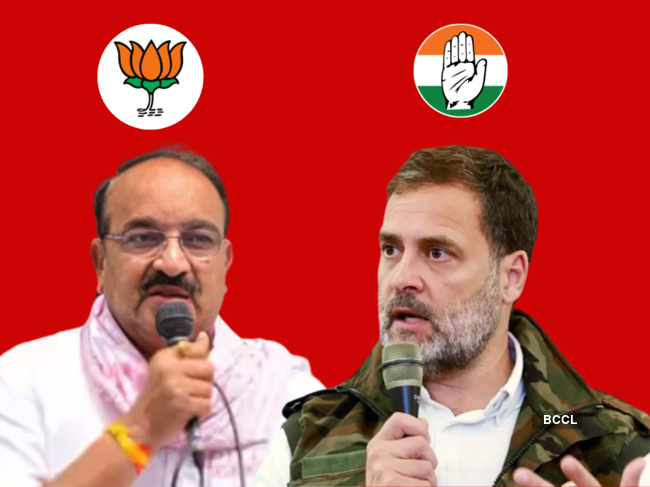In Uttar Pradesh's Rae Bareli constituency, all eyes are on the upcoming Lok Sabha elections as Congress nominates star campaigner Rahul Gandhi to contest against BJP's Dinesh Pratap Singh.