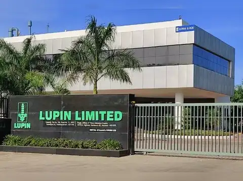 Lupin
