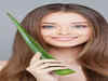 Effective benefits of aloe vera for your hair