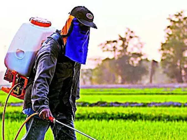 FSSAI Allows 10 Times More Pesticide Residue in Herbs, Spices