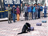 Sniffing Out Danger: How dogs are helping Delhi Police combat bomb threats