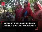 Lok Sabha Election 2024 Phase 3: Women of Self-Help group promote voting awareness with sal leaves and yellow rice in Chhattisgarh