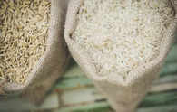 India's export restrictions propel global rice prices: Asian exporters brace for Indonesia tender surge