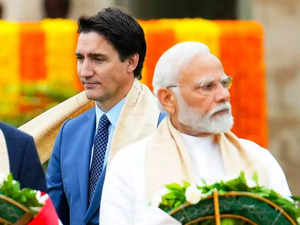 India calls on Canada to stop providing safe haven for criminal and secessionist elements:Image