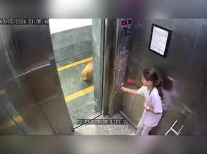 Video: CCTV captures dog mauling teenager inside Noida housing society lift:Image