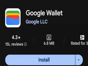 Google Wallet launched in India: step-by-step guide on how to use it, how it is different from Google Pay explained:Image