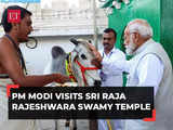 PM Modi performs 'Gau Poojan' at Sri Raja Rajeshwara Swamy Temple in Telangana, watch!