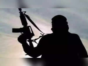 Six Naxalites killed in encounter with security personnel in Chhattisgarh's Bijapur:Image