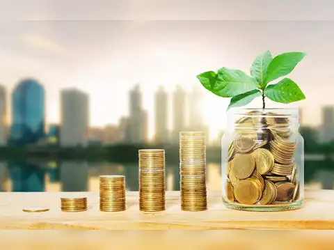 Three primary reasons for divestment