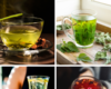 10 refreshing teas to beat the heat​