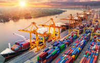 India's imports from FTA partners up 38% during 2019-24 fiscal years: GTRI