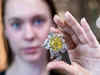 Yellow diamond brooch which closely resembles Queen Elizabeth's prized jewellery, may fetch $6 mn at Geneva auction