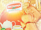 Stock Radar: Time to buy? Britannia Industries gives breakout from falling chann:Image