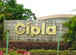 Promoter group entities likely to sell 2.5% stake in Cipla worth Rs 2,637 crore via block deals: Report