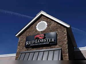 Red Lobster restaurants closing: Nearly 50 seafood outlets in US shutdown. Check reason, city-wise locations