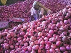 Onion Prices Fall 15% Due to Lack of Export Demand