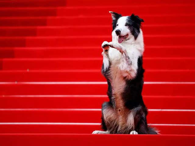 First star at Cannes Red Carpet